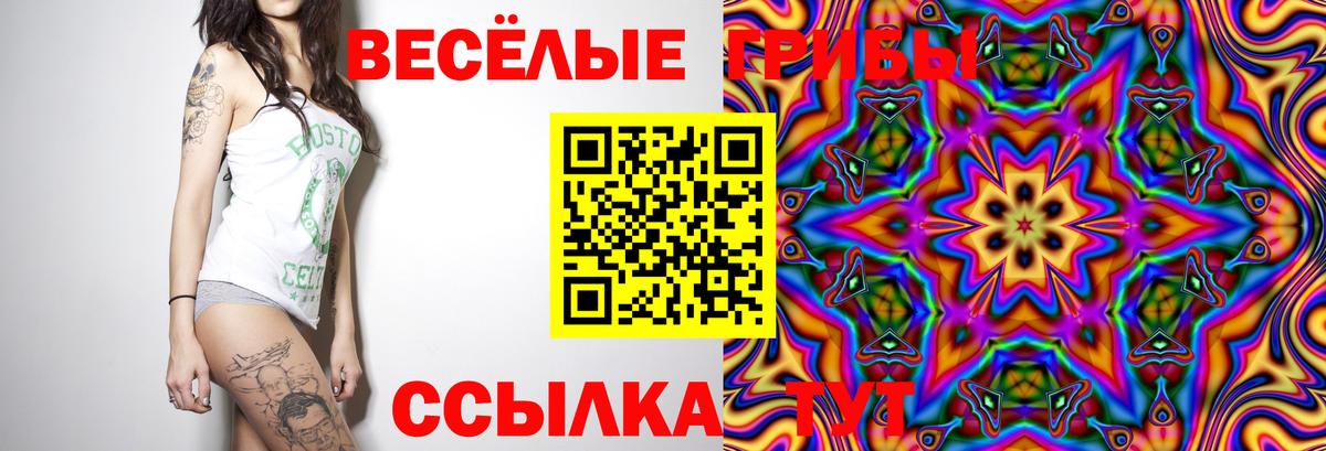 Киселёвск  Псилоцибиновые грибы ЛСД  Вход с VPN  Галлюциногенные грибы Psilocybe 